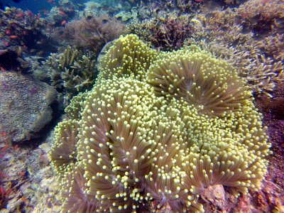 2015-11-26 12-34-29.096